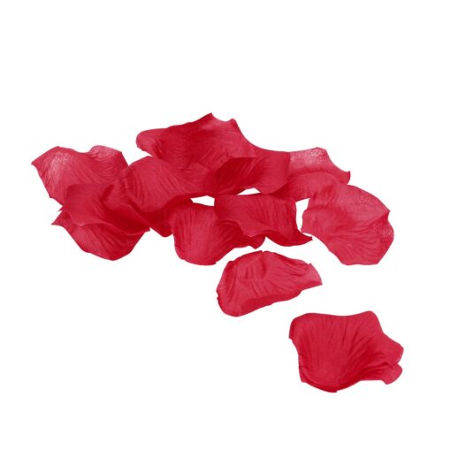 PÉTALAS DE ROSA VERMELHAS LE DÉSIR - Image 2