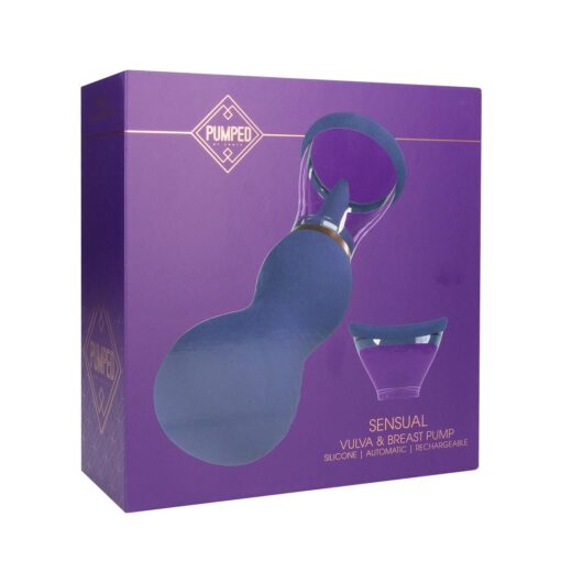 BOMBA RECARREGÁVEL PARA VULVA E SEIOS SENSUAL ROXA PUMPED