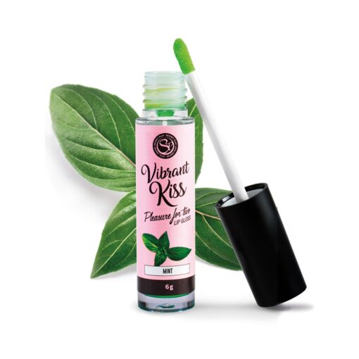 LIP GLOSS DE MENTA VIBRANT KISS 6GR - Image 2