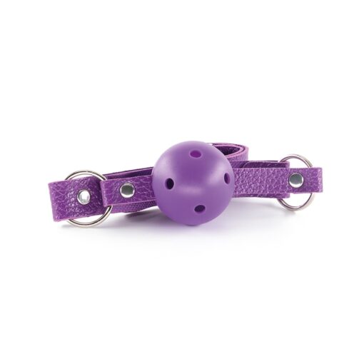 KIT BDSM DUNGEONS & MAIDENS ROXO CRUSHIOUS - Image 5