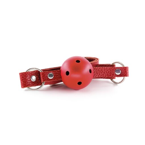 KIT BDSM DUNGEONS & MAIDENS VERMELHO CRUSHIOUS - Image 4