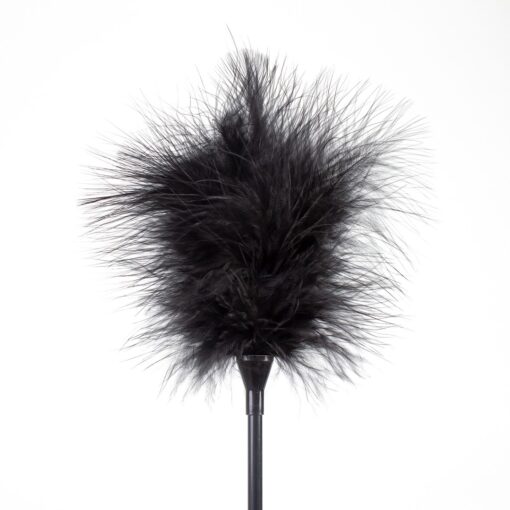 ESPANADOR DE PLUMAS E CHICOTE PRETO SECRET PLAY - Image 2