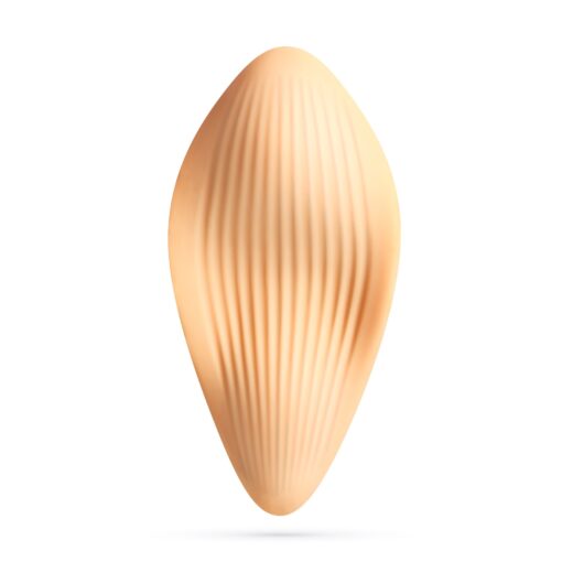 ATLANTIS VIBRADOR DE CUECA COM COMANDO À DISTÂNCIA CRUSHIOUS - Image 3