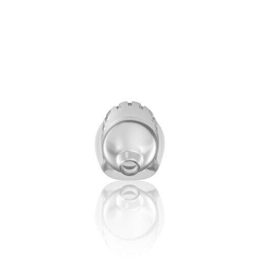 JAULA MODEL 29 TPE CHASTITY TRANSPARENTE MANCAGE - Image 5